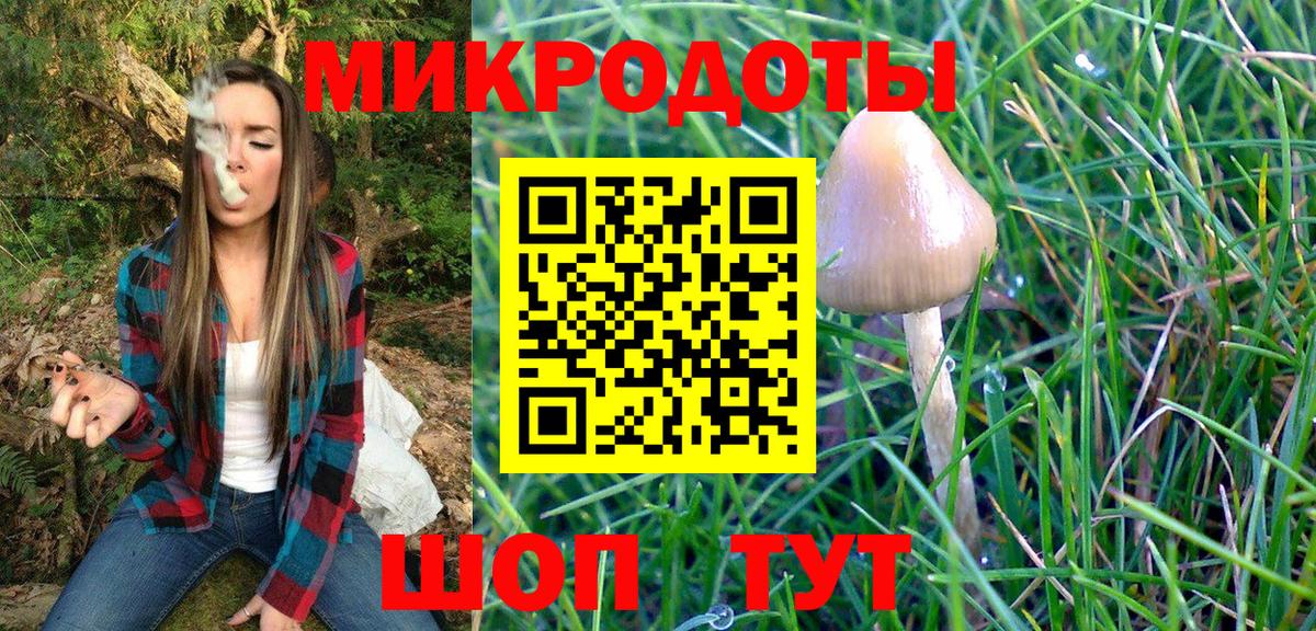 Псилоцибиновые грибы мицелий Богданович